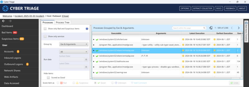 Cyber Triage process group.